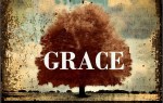 grace tree