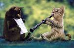 cats recorder