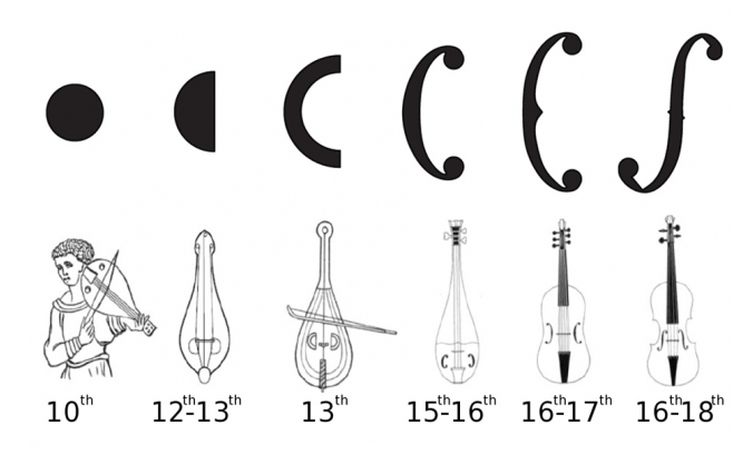 How the shape developed